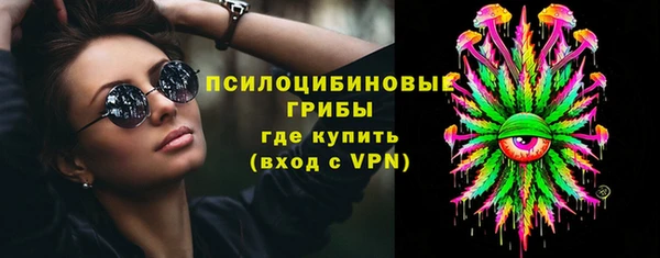 a pvp Алзамай