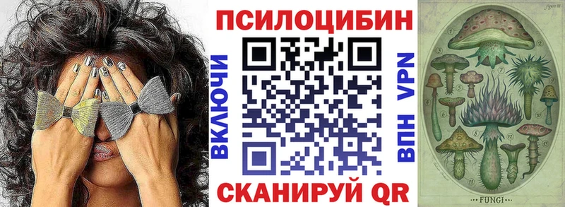 Купить закладки  Тейково  Галлюциногенные грибы GOLDEN TEACHER 